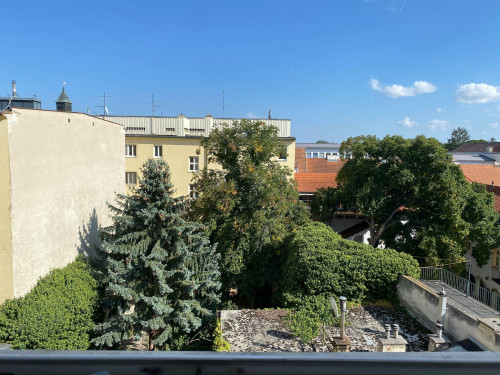 Schulgasse, Wiener Neustadt - Gallery - 11