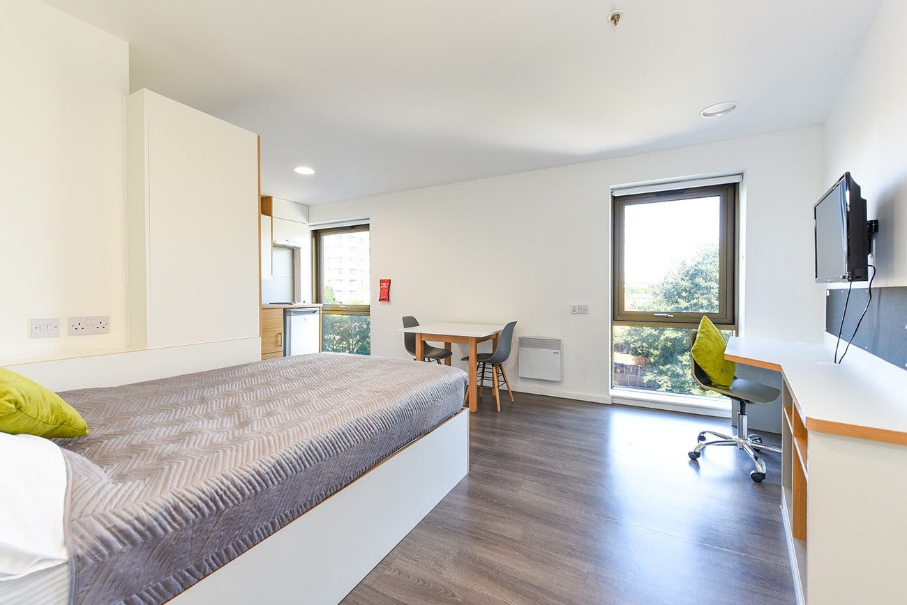 Studio Gold - City View - Byrom Point Roost - Gallery - 1