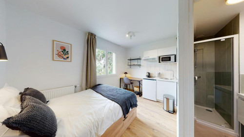 Avenue du Colonel Fabien, Romainville