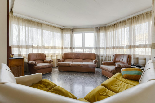 Ronda de Garay, Murcia - Gallery - 7