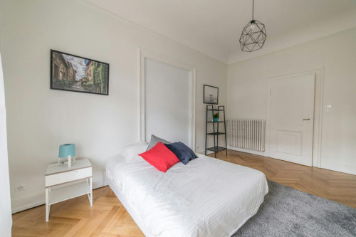Boulevard Clemenceau, Strasbourg - Gallery - 5