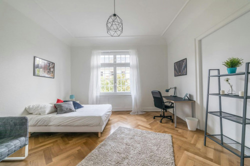 Boulevard Clemenceau, Strasbourg  - Gallery -  5