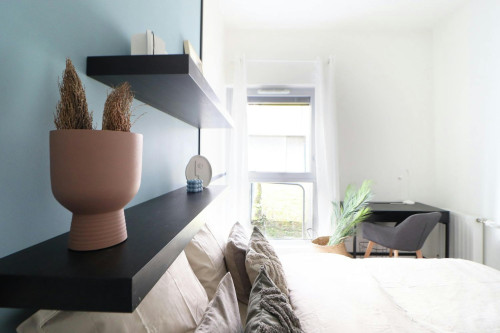 Rue Cesaria Évora, Paris