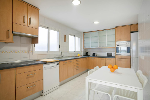 Avenida Doctor Gadea, Alicante - Gallery - 10