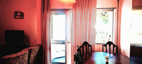 Rua Doutor Manuel Lopes Louro, Castelo Branco - Gallery - 9