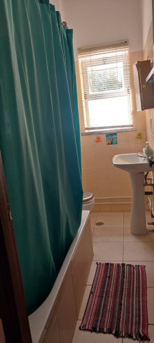 Rua Doutor Manuel Lopes Louro, Castelo Branco  - Gallery -  5