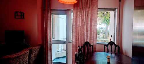 Rua Doutor Manuel Lopes Louro, Castelo Branco - Gallery - 8