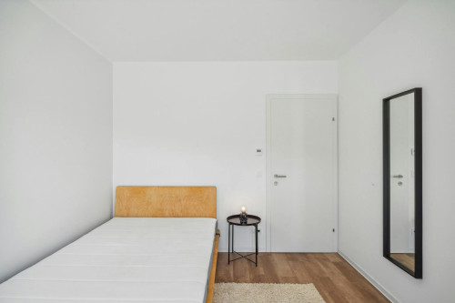 Waagner-Biro-Straße, Graz