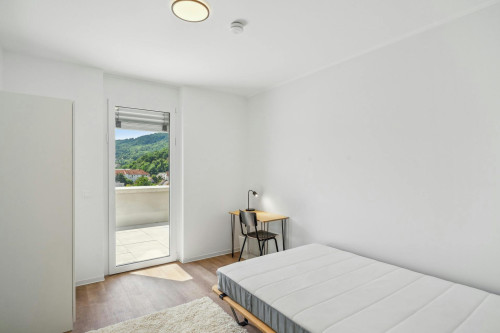 Waagner-Biro-Straße, Graz