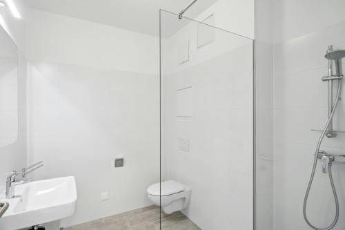 Waagner-Biro-Straße, Graz