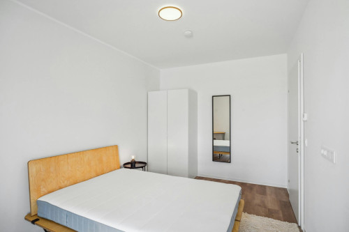 Waagner-Biro-Straße, Graz