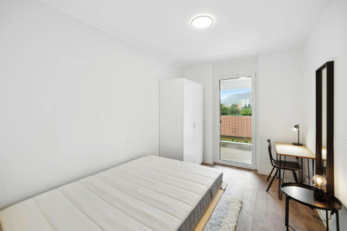 Waagner-Biro-Straße, Graz