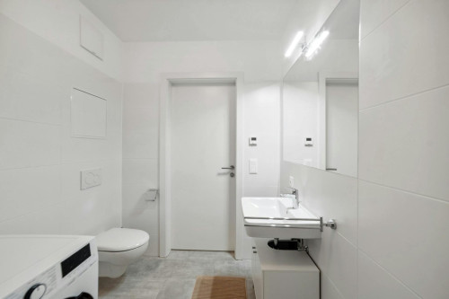 Waagner-Biro-Straße, Graz