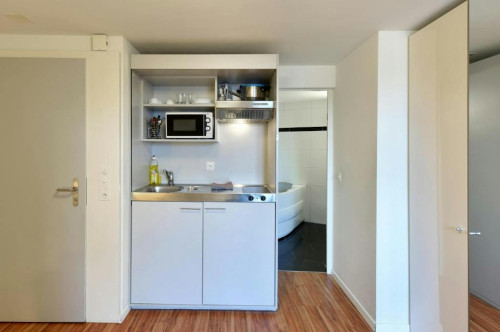 Asylstrasse, Zürich