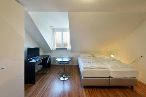 Asylstrasse, Zürich