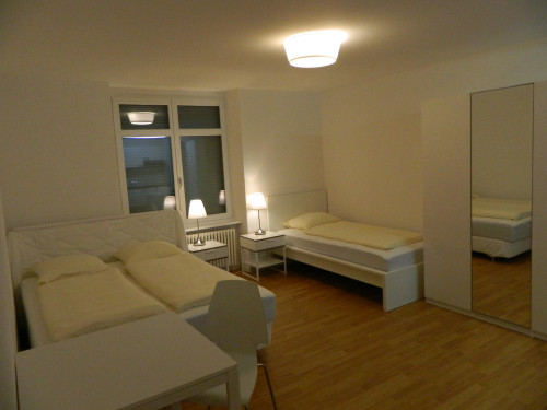 Delsbergerallee, Basel - Gallery - 10
