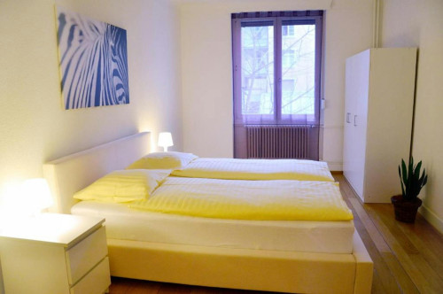 Landskronstrasse, Basel