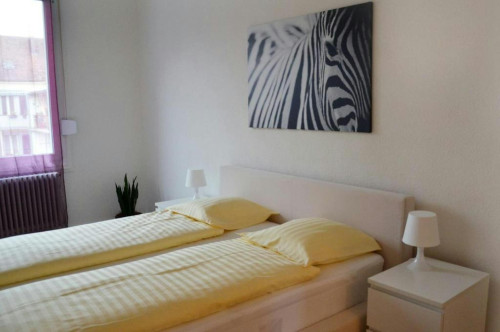 Landskronstrasse, Basel - Gallery - 6