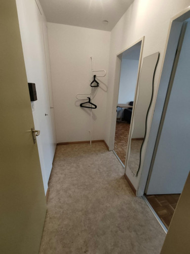 Frobenstrasse, Basel