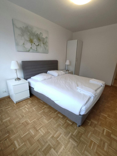 Frobenstrasse, Basel - Gallery - 9