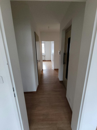 Frobenstrasse, Basel - Gallery - 6