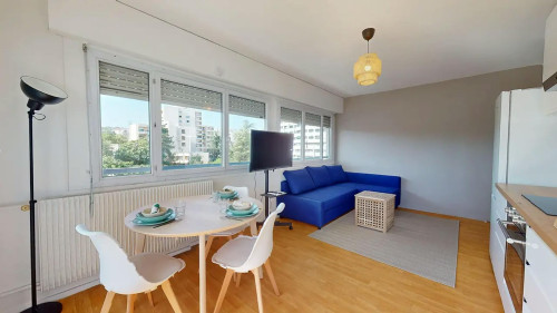 Rue Professeur Patel, Lyon