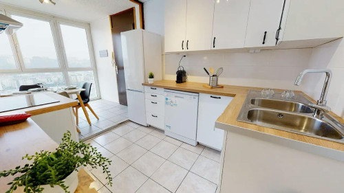 Rue de Saint-Cyr, Lyon  - Gallery -  5