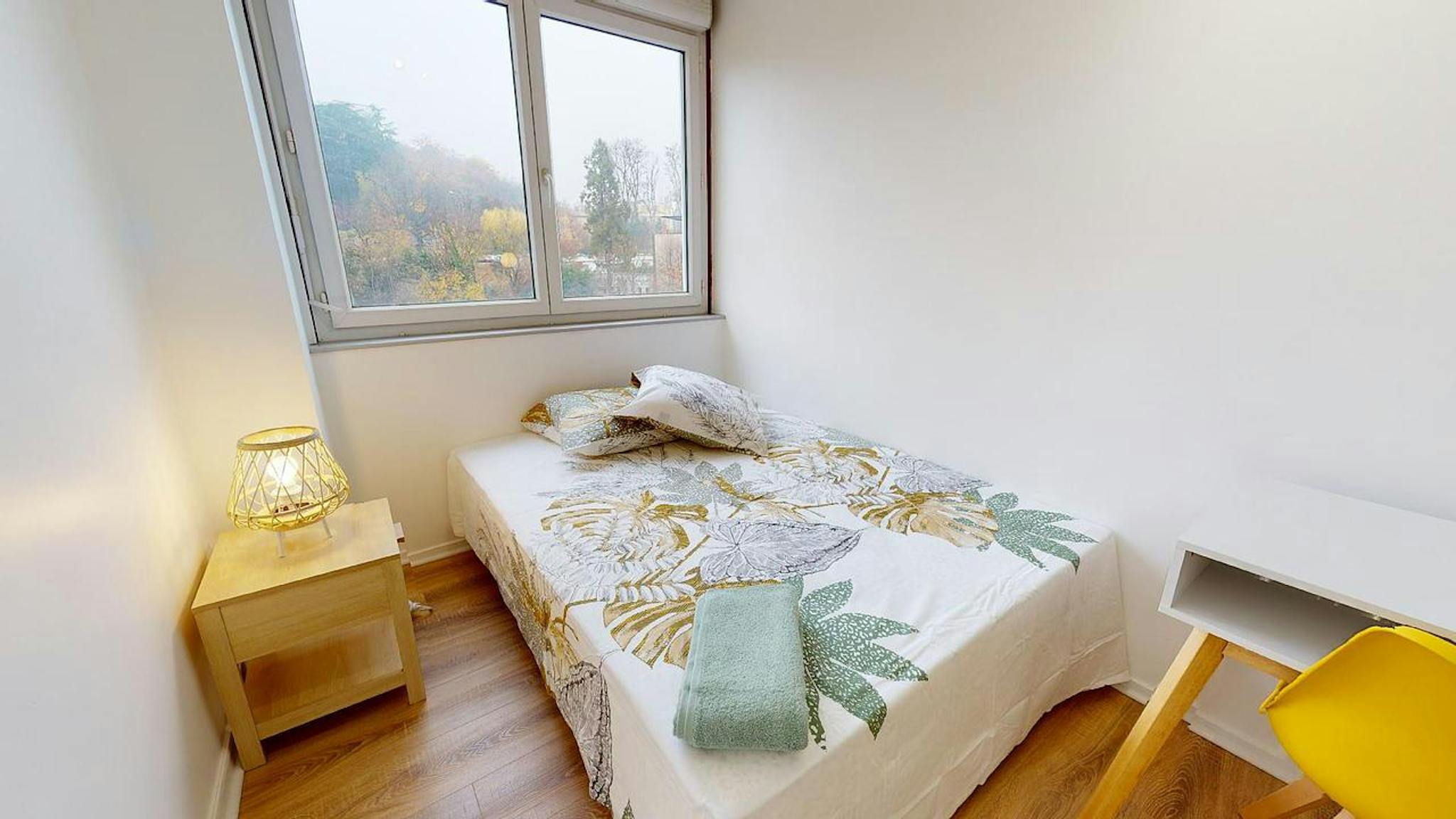  Private Room  -  Rue de Saint-Cyr, Lyon  - Gallery -  1