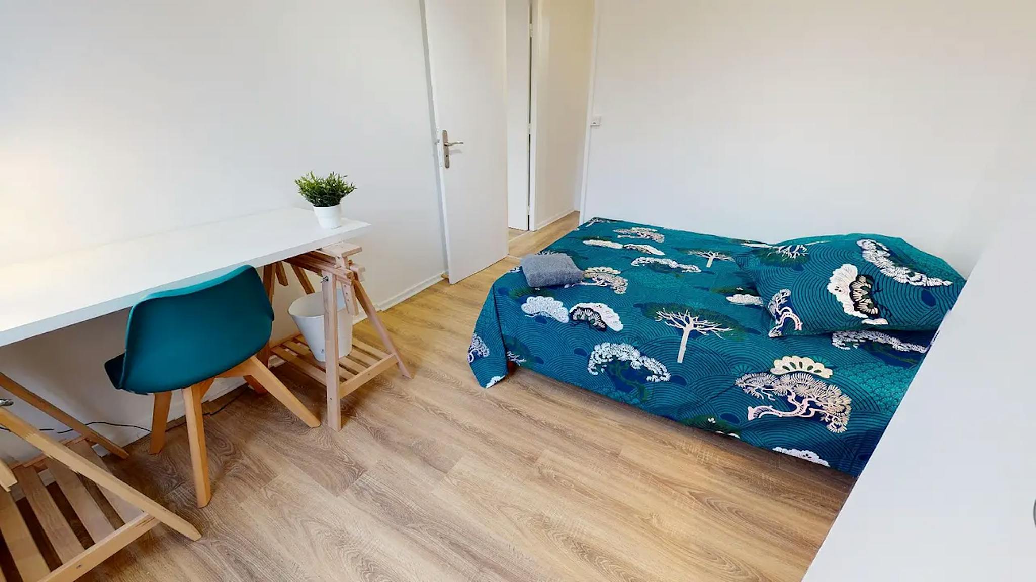  Private Room  -  Rue de Saint Cyr, Lyon  - Gallery -  2