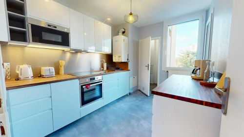 Rue Joliot-Curie, Lyon