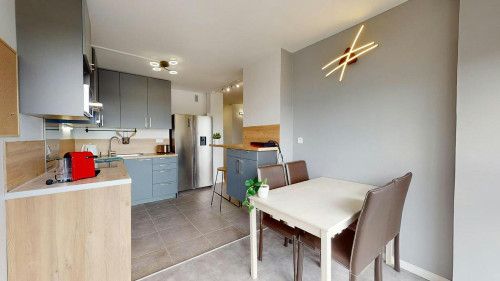 Rue de Saint-Cyr, Lyon - Gallery - 13