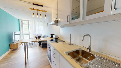 Rue Auguste Renoir, Talence  - Gallery -  5