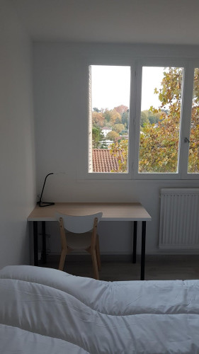 Cours Docteur Long, Lyon - Gallery - 19