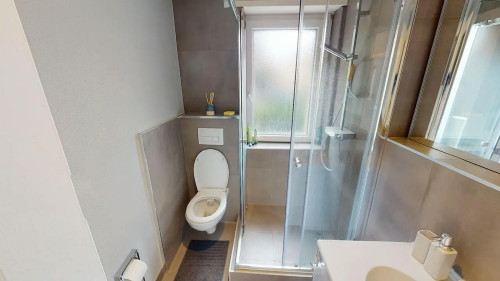 Rue de Guebwiller, Mulhouse