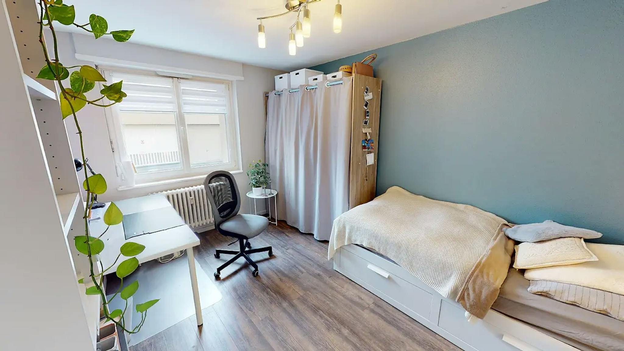  Private Room  -  Rue de Guebwiller, Mulhouse  - Gallery -  1