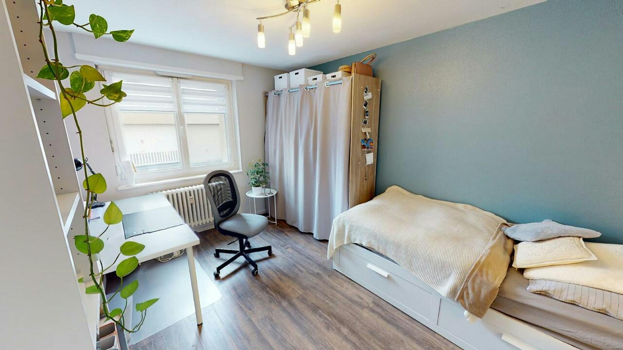  Private Room  -  Rue de Guebwiller, Mulhouse  - Gallery -  2