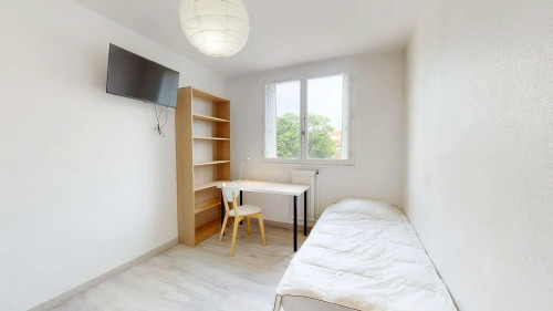 Cours Docteur Long, Lyon
