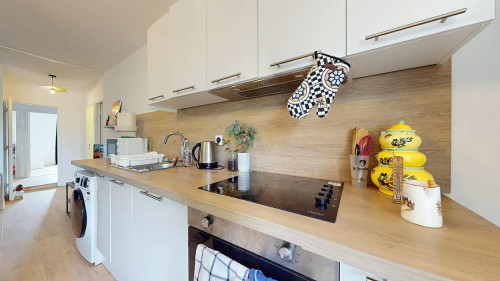 Allée des Tulipes, Pessac  - Gallery -  5