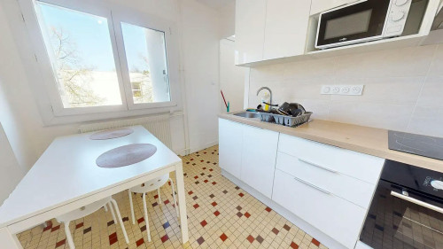 Rue Léo Lagrange, Vénissieux