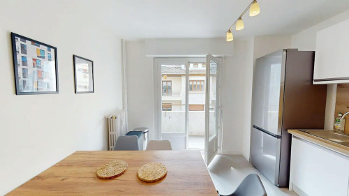 Rue du Docteur Coquand, Annemasse  - Gallery -  5