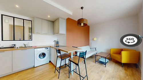 Boulevard Irène Joliot Curie, Vénissieux