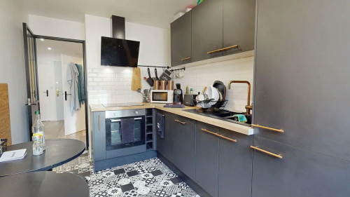 Rue du Général Petit, Vénissieux