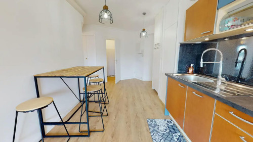 Rue du Professeur Roux, Vénissieux  - Gallery -  5