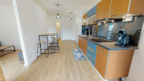 Rue du Professeur Roux, Vénissieux