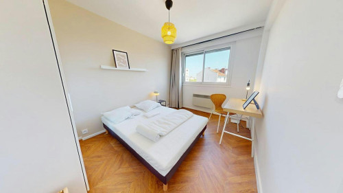 Rue du Professeur Calmette, Lyon