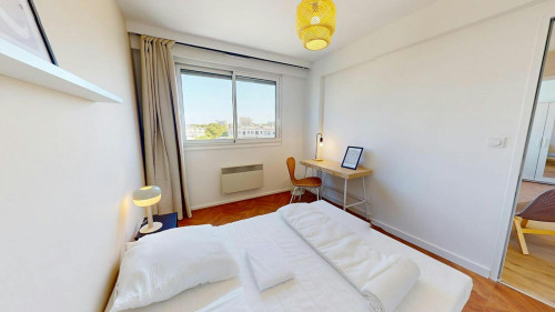 Rue du Professeur Calmette, Lyon