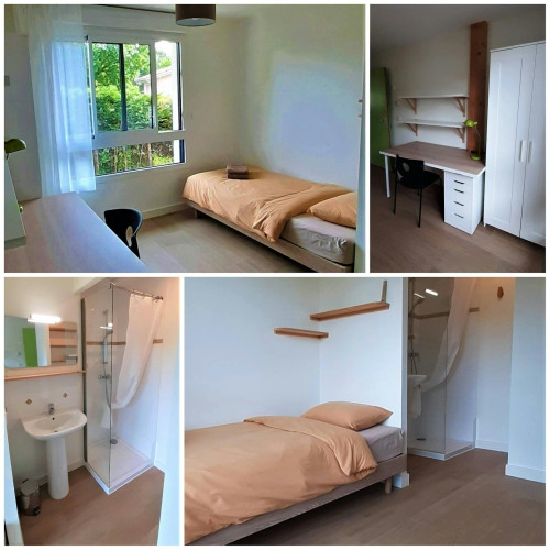 Rue du Luc, Pessac - Gallery - 7