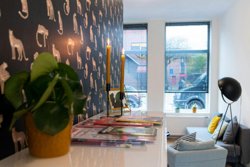 Meeuwerderweg, Groningen  - Gallery -  5