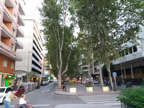 Plaza Circular, Murcia