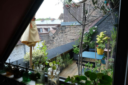 Rue du Fort, Strasbourg - Gallery - 7